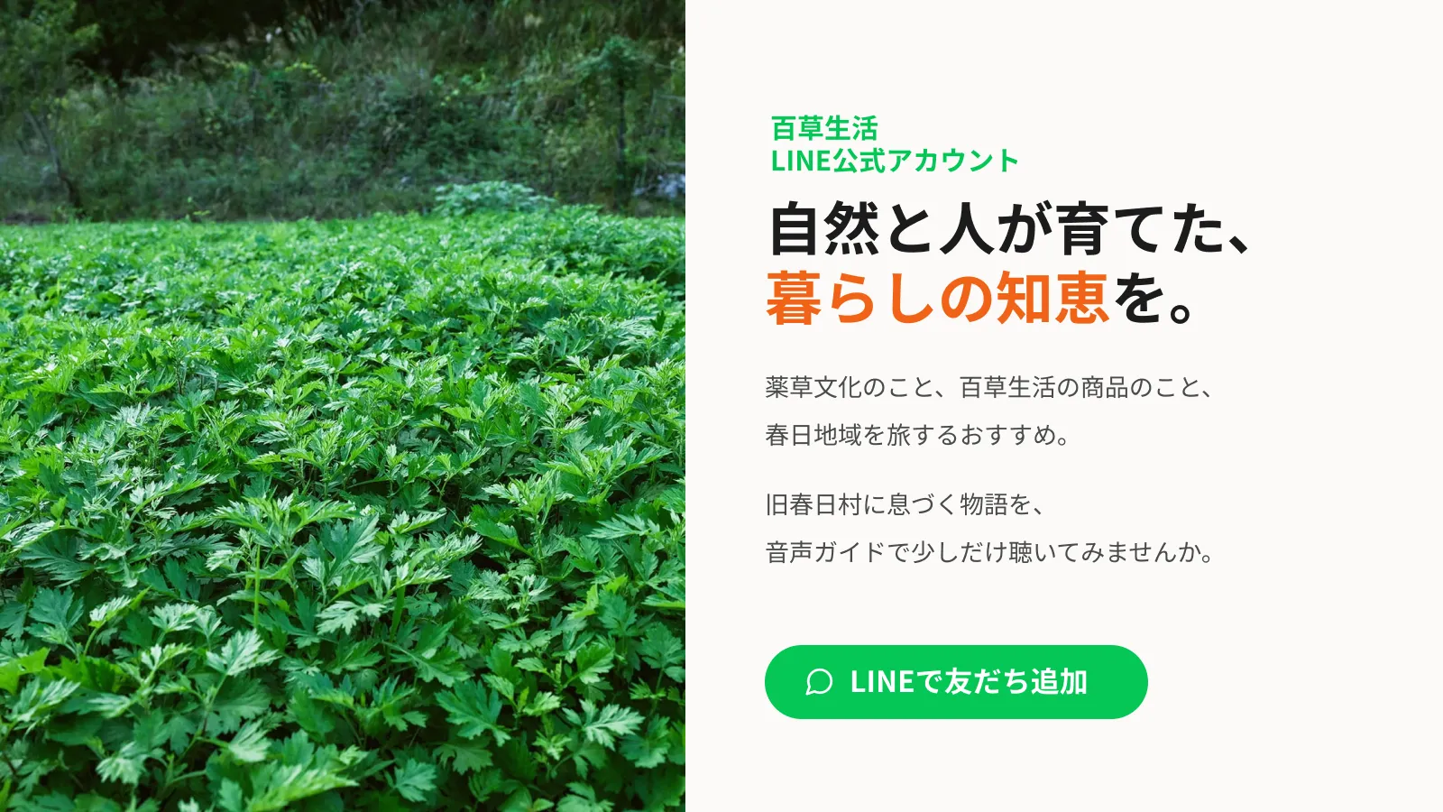 LINE友だち追加バナー